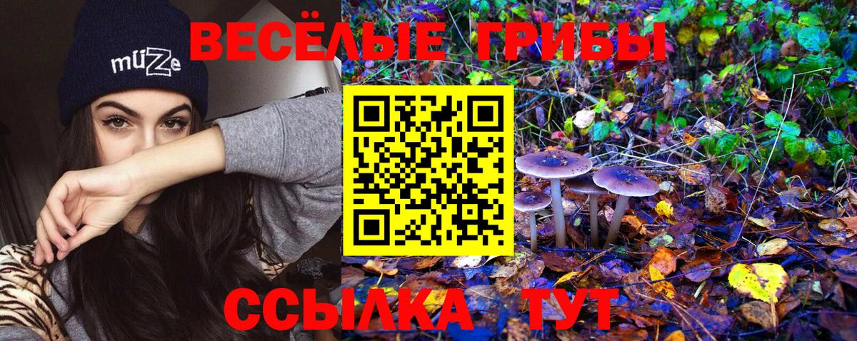 Псилоцибиновые грибы GOLDEN TEACHER  Вход с VPN  Галлюциногенные грибы Psilocybine cubensis  Клин 